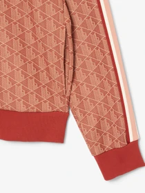 Худи и свитшоты Lacoste модель SH1368GTI Фото
