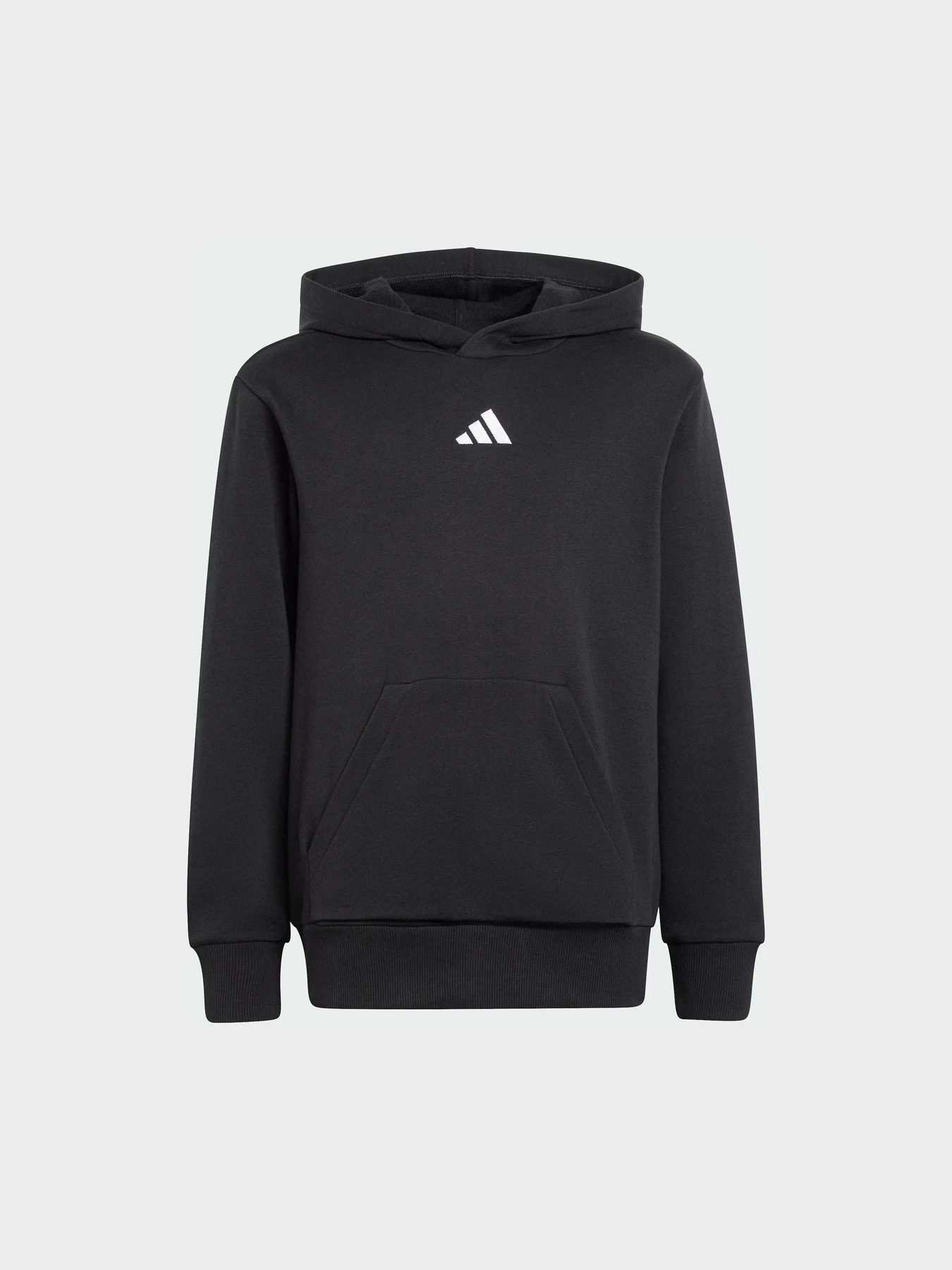 Худи и свитшоты Adidas модель JC9772 Фото