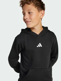 Худи и свитшоты Adidas модель JC9772 Фото