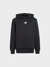 Худи и свитшоты Adidas модель JC9772 Фото
