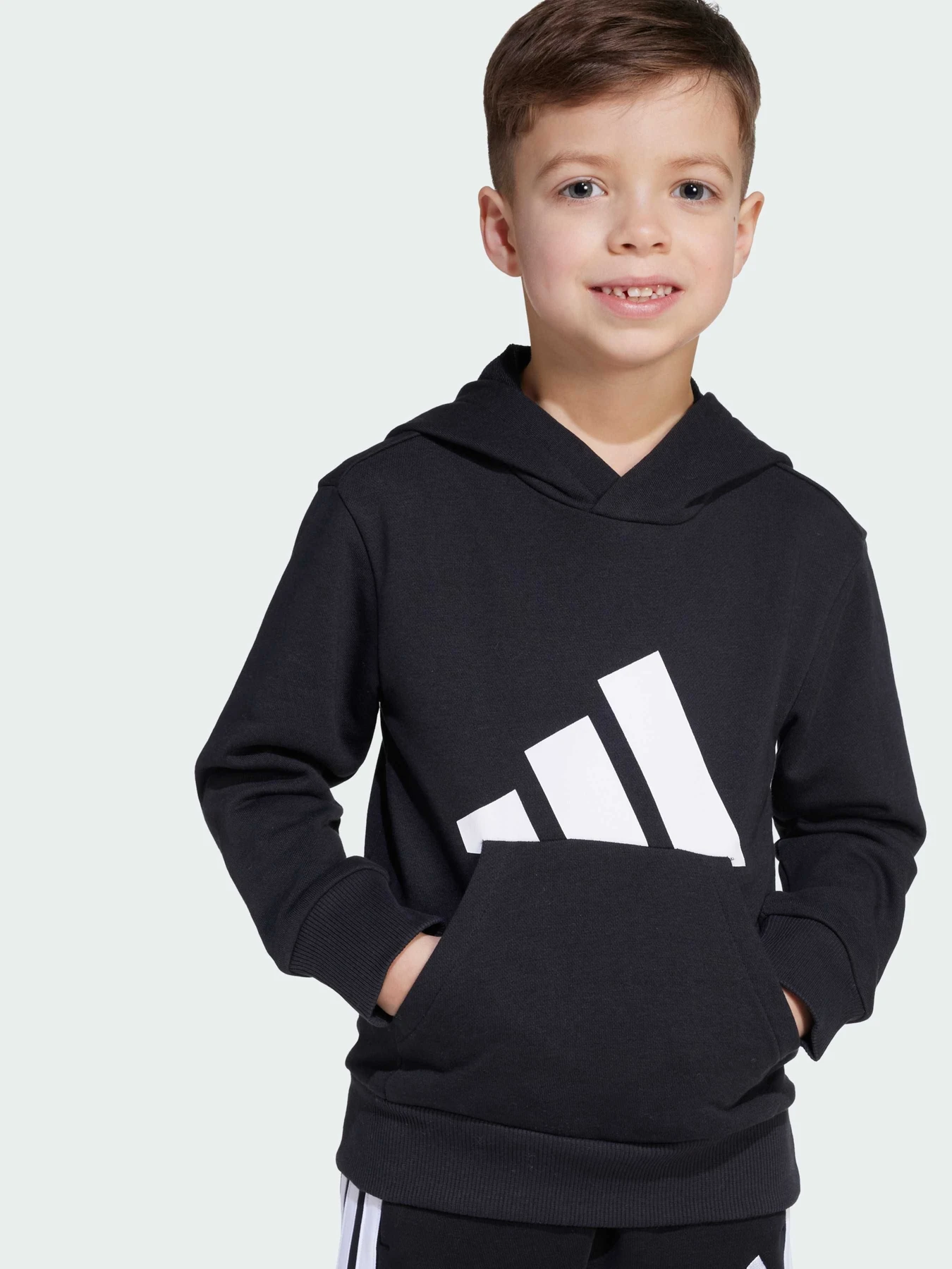 Худи и свитшоты Adidas модель JM0885 Фото