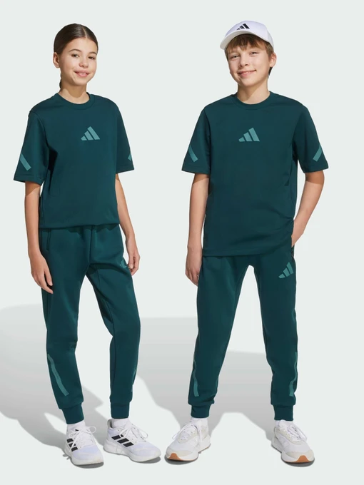 Брюки Adidas ZNE модель JW2430 Фото