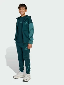 Штани Adidas ZNE модель JW2430 Фото