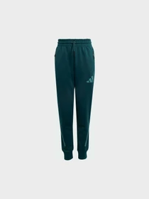 Штани Adidas ZNE модель JW2430 Фото