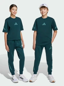 Брюки Adidas ZNE модель JW2430 Фото