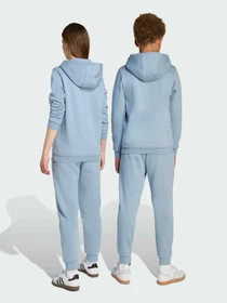 Брюки Adidas модель JX2743 Фото