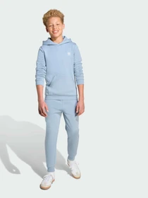 Брюки Adidas модель JX2743 Фото