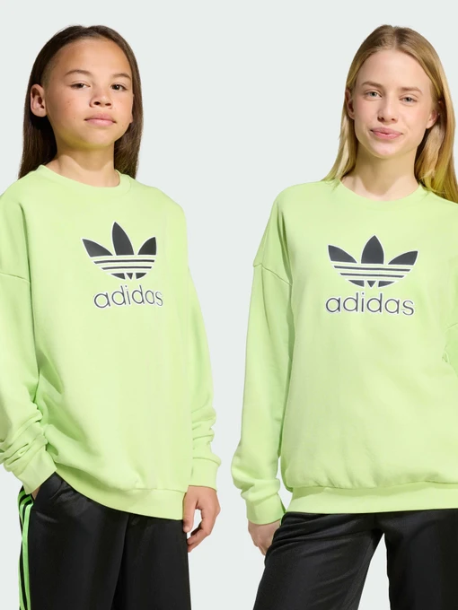 Худи и свитшоты Adidas Adicolor модель JV8573 Фото