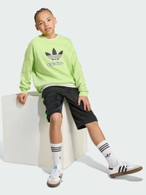 Худі та світшоти Adidas Adicolor модель JV8573 Фото