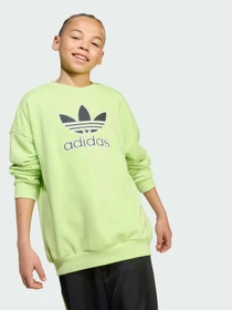 Худі та світшоти Adidas Adicolor модель JV8573 Фото