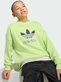Худі та світшоти Adidas Adicolor модель JV8573 Фото