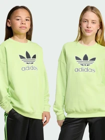 Худи и свитшоты Adidas Adicolor модель JV8573 Фото