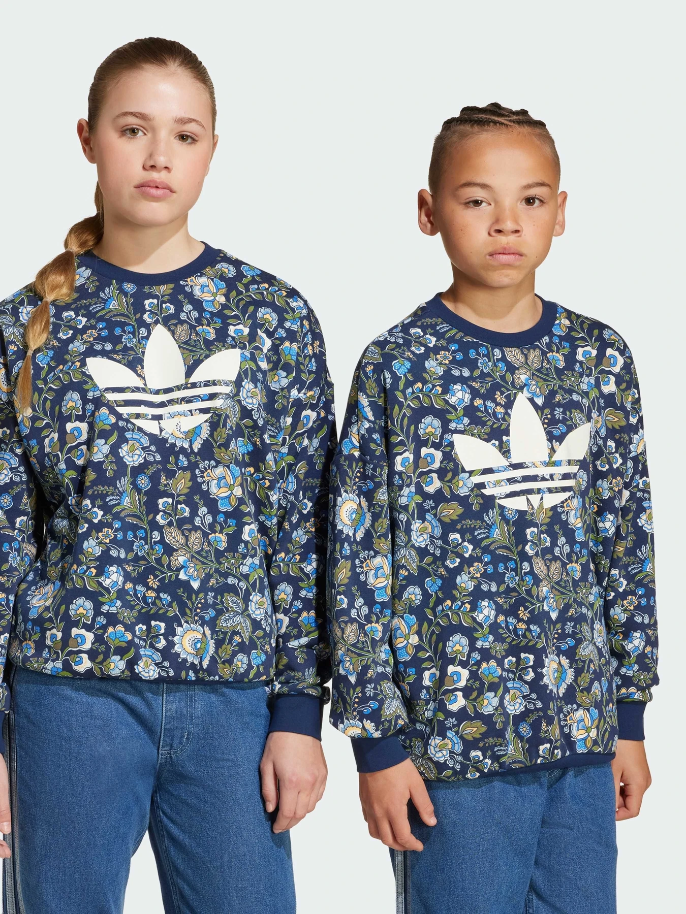 Худи и свитшоты Adidas Graphics модель JX6316 Фото