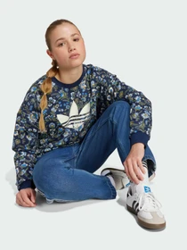 Худи и свитшоты Adidas Graphics модель JX6316 Фото