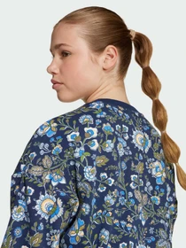 Худи и свитшоты Adidas Graphics модель JX6316 Фото