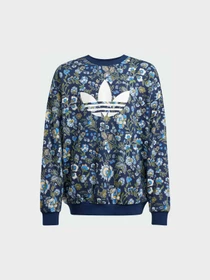 Худи и свитшоты Adidas Graphics модель JX6316 Фото