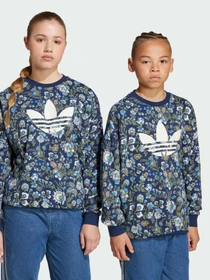 Худи и свитшоты Adidas Graphics модель JX6316 Фото