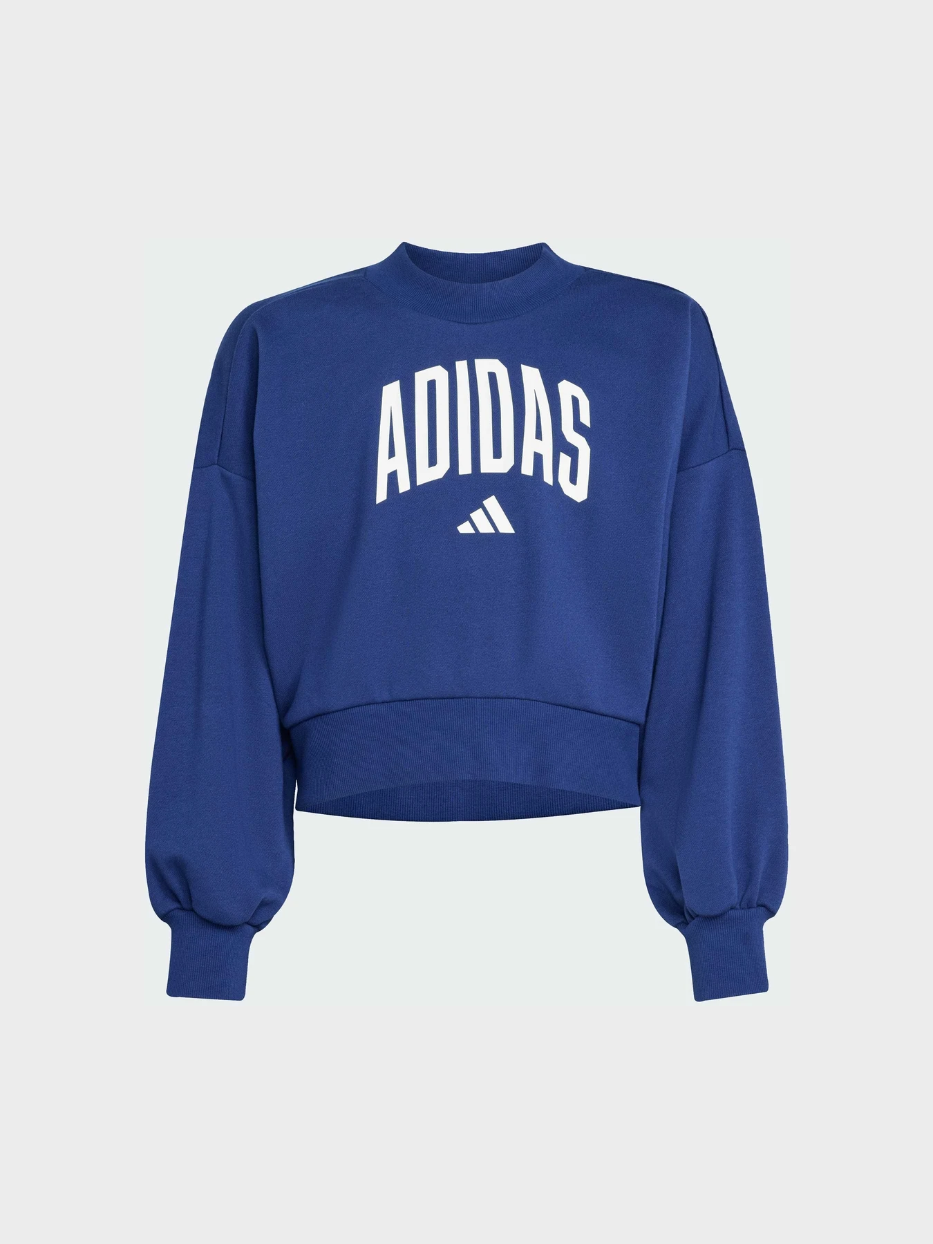 Худи и свитшоты Adidas модель JM1535 Худи и свитшоты Adidas модель JM1535 Фото