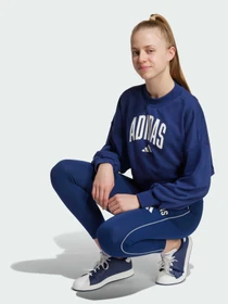 Худи и свитшоты Adidas модель JM1535 Фото