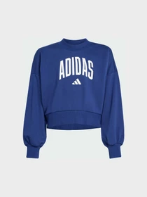 Худи и свитшоты Adidas модель JM1535 Фото