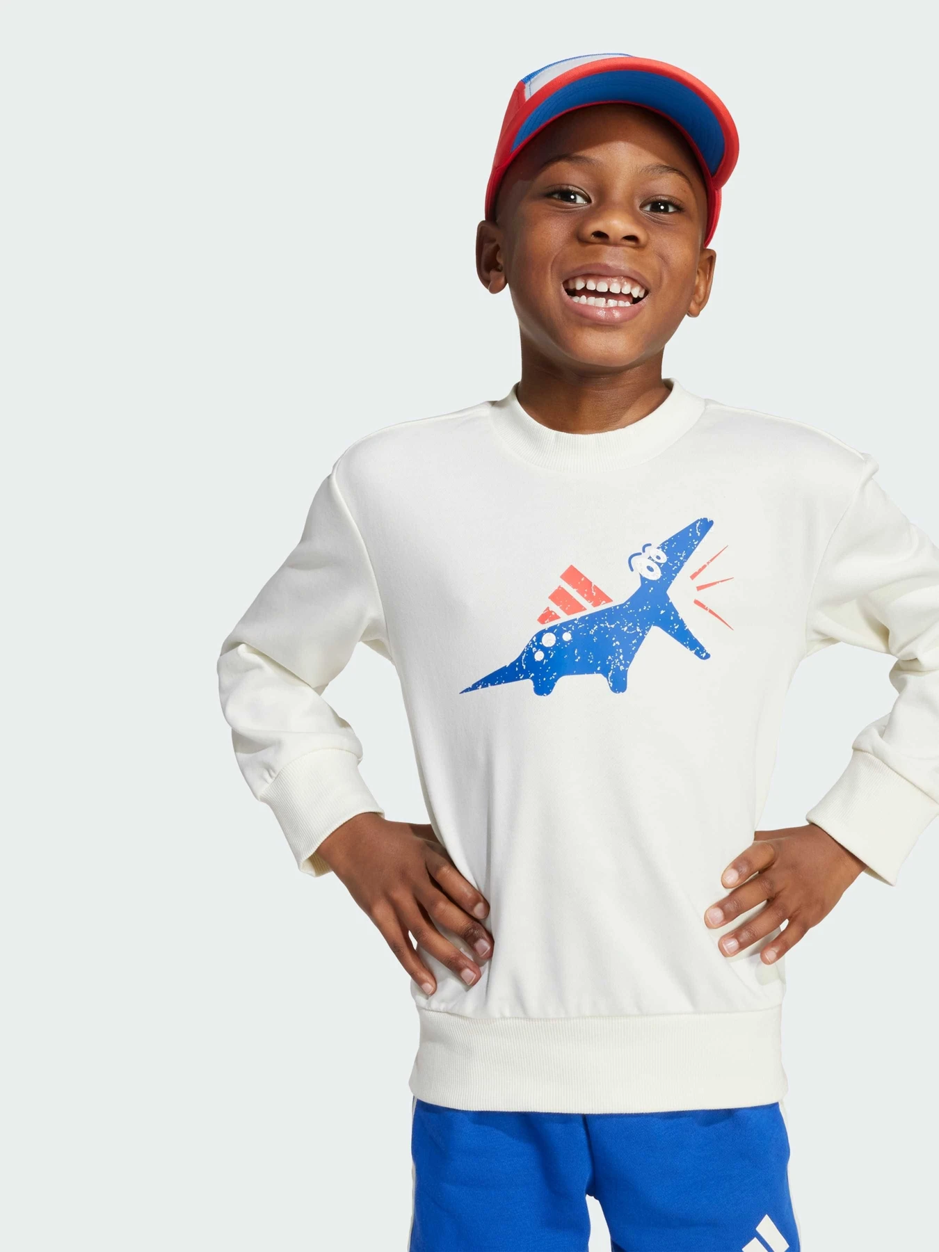Костюмы Adidas модель JV5848 Фото