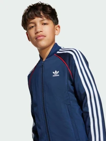 Худи и свитшоты Adidas Adicolor модель JV8563 Фото