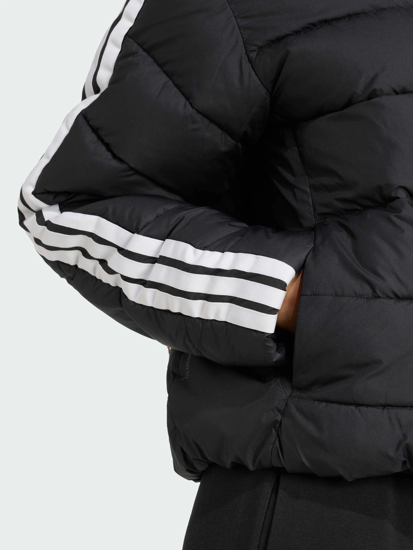 Куртки и дубленки Adidas 3 Stripes модель JM8421 Куртки и дубленки Adidas 3 Stripes модель JM8421 Фото