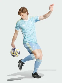 Шорты Adidas модель JJ4325 Фото