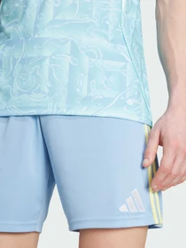 Шорты Adidas модель JJ4325 Фото
