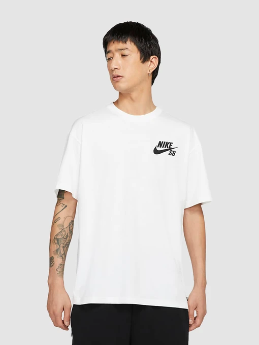 Футболки и поло NIKE Sb Chino Shorts модель DC7817-100 Фото