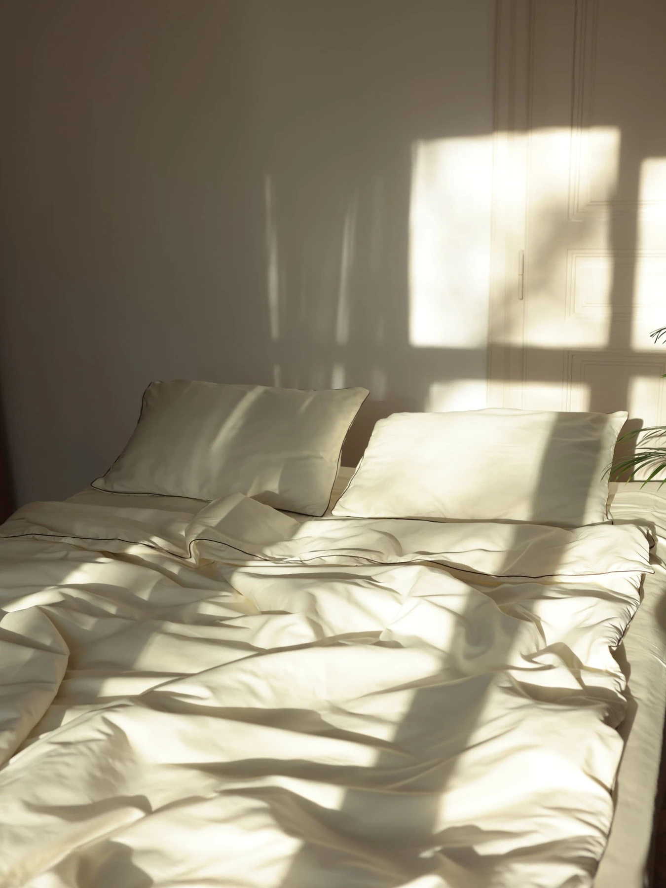 Комплект постельного белья из ткани сатин молочный с шоколадным кантом. BedclozZzes модель 12341 Комплект постельного белья из ткани сатин молочный с шоколадным кантом. BedclozZzes модель 12341 Фото