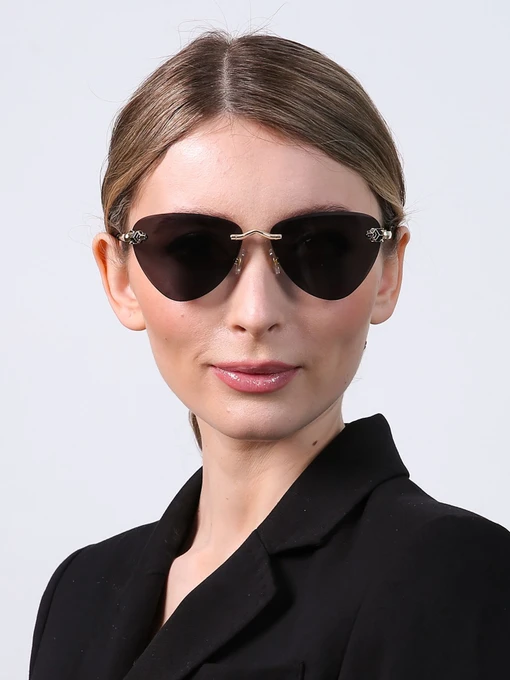 Очки LuckyLOOK модель LL2933534723993 Фото