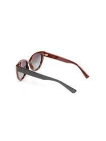 Очки LuckyLOOK модель LL2933534723832 Фото