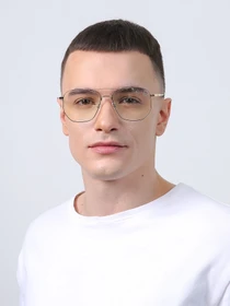 Очки LuckyLOOK модель LL2933534734005 Фото