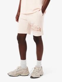 Шорты Lacoste модель GH0286GXI Фото