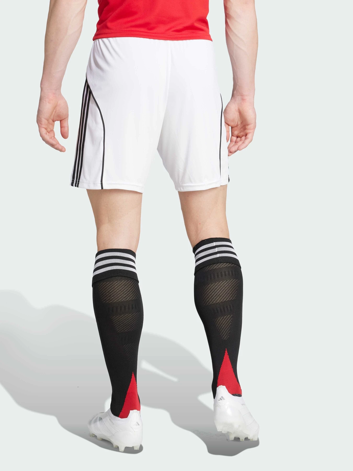 Шорты Adidas модель JI7430 Шорты Adidas модель JI7430 Фото