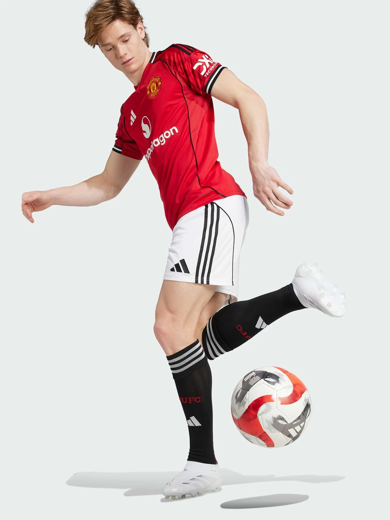 Шорты Adidas модель JI7430 Шорты Adidas модель JI7430 Фото
