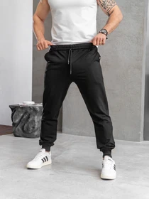 Брюки TeamV модель 101-2 Фото