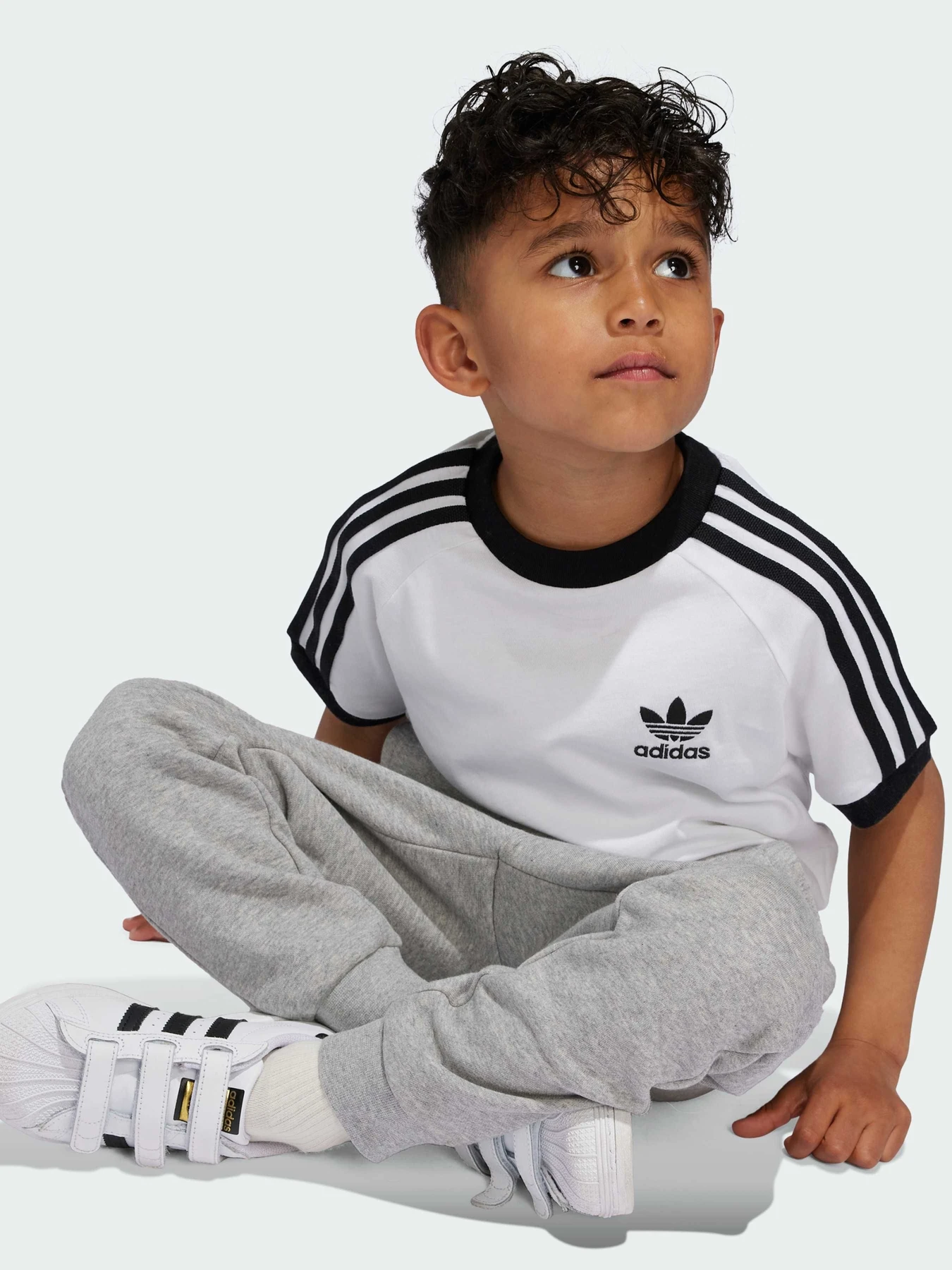 Футболки і поло Adidas Adicolor модель JE0517 Футболки і поло Adidas Adicolor модель JE0517 Фото