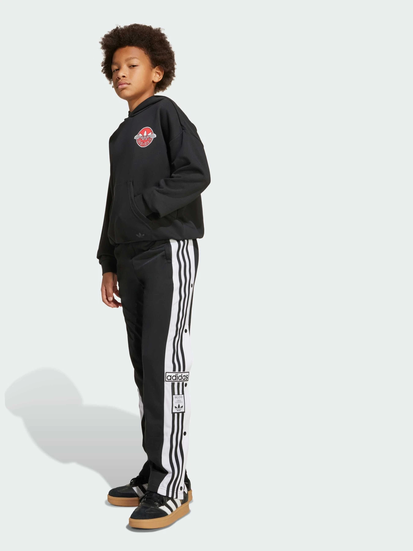 Брюки Adidas Adicolor модель JX1091 Брюки Adidas Adicolor модель JX1091 Фото