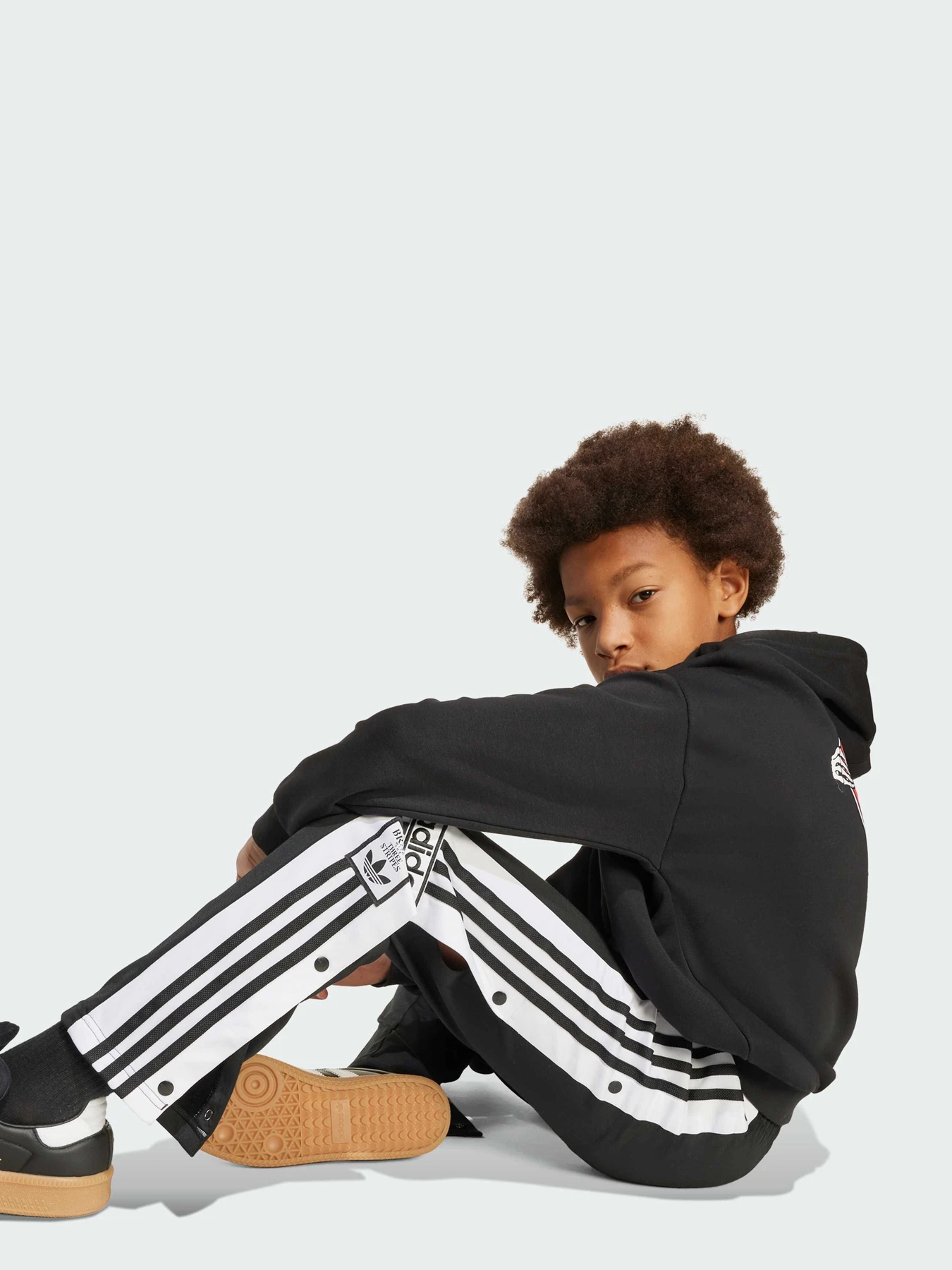 Брюки Adidas Adicolor модель JX1091 Брюки Adidas Adicolor модель JX1091 Фото