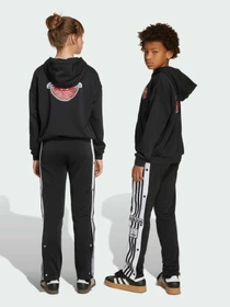 Брюки Adidas Adicolor модель JX1091 Фото