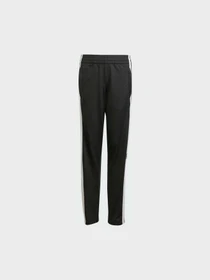 Брюки Adidas Adicolor модель JX1091 Фото