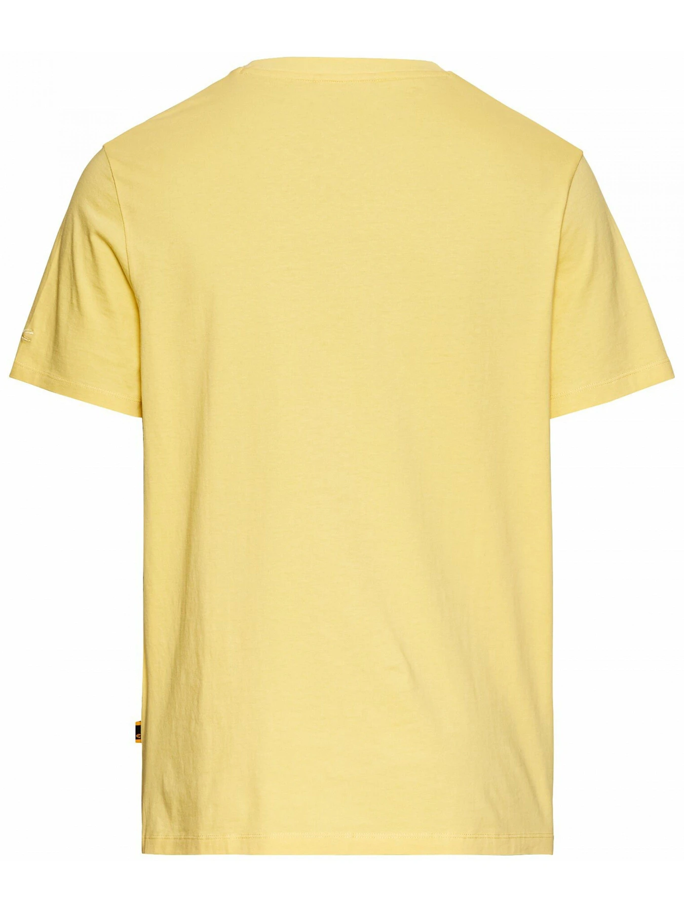 Футболки і поло Camel Active T-shirt 1/2 arm модель 409700-5T02-62 Футболки і поло Camel Active T-shirt 1/2 arm модель 409700-5T02-62 Фото