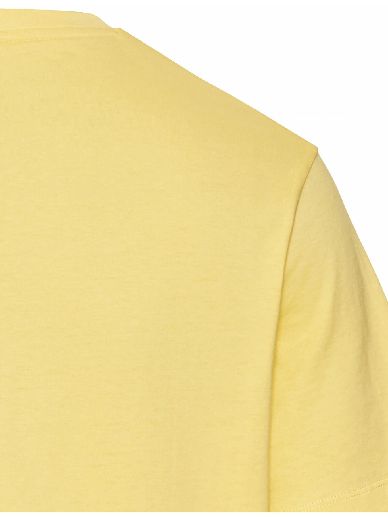 Футболки і поло Camel Active T-shirt 1/2 arm модель 409700-5T02-62 Футболки і поло Camel Active T-shirt 1/2 arm модель 409700-5T02-62 Фото