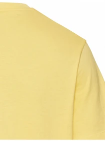 Футболки і поло Camel Active T-shirt 1/2 arm модель 409700-5T02-62 Фото