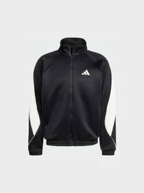 Худі та світшоти Adidas модель JN1821 Фото