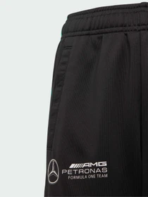 Брюки Adidas модель JV5431 Фото