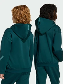 Худи и свитшоты Adidas ZNE модель JW2425 Фото
