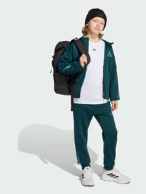 Худи и свитшоты Adidas ZNE модель JW2425 Фото